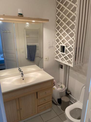 une salle de bain avec un lavabo, des toilettes et un miroir dans l'établissement Appartement BIARRITZ, à Biarritz
