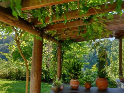 马尔科-德卡纳维泽斯Traumhaftes Landhaus mit Zugang zum Fluss的一组坐在木凉棚下的盆栽植物