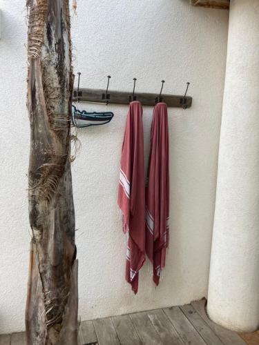 Φωτογραφία από το άλμπουμ του Seasun σε Saint-Cyr-sur-Mer