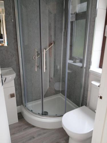 a bathroom with a shower and a toilet at Tolpedn Cottage in Gulval