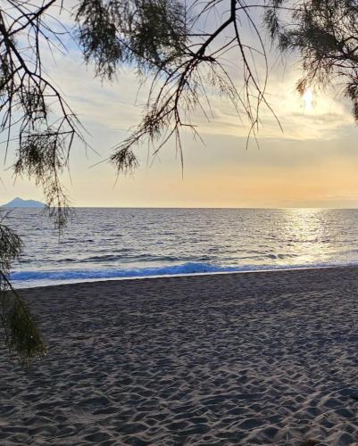 Φυσικό τοπίο κοντά σε αυτό το διαμέρισμα