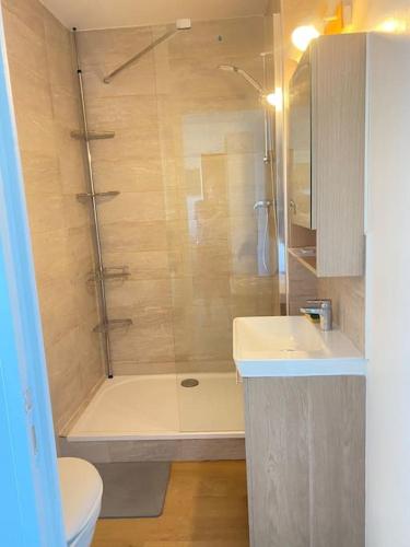 une salle de bain avec une douche, des toilettes et un lavabo dans l'établissement Studio avec loggia, classé 2 étoiles, situé sur le port, à Courseulles-sur-Mer