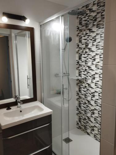 une salle de bain avec un lavabo et une douche en verre dans l'établissement Logement bord de y, à Les Sables-dʼOlonne