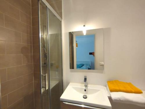 une salle de bain avec un lavabo et une douche avec un miroir dans l'établissement Le Floride Jolie studio à Poitiers FIBRE, à Poitiers