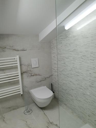 Un baño con inodoro y ducha de cristal. en Gray River Resort, en Obârşia Lotrului