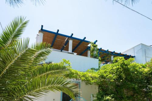a white building with palm trees in front of it at Casa Tulipano 2 DX a soli 200 mt dal mare di Torre Colimena in Torre Colimena