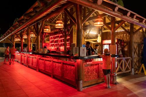 a person standing in front of a bar at AQI Pegasos World in Side