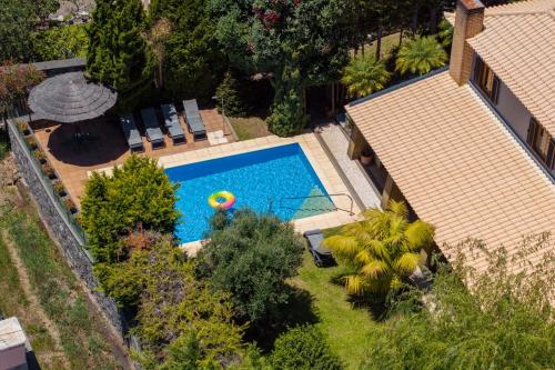 una vista sul tetto di una piscina con campo da pallavolo di Vila Esperança by An Island Apart a Calheta