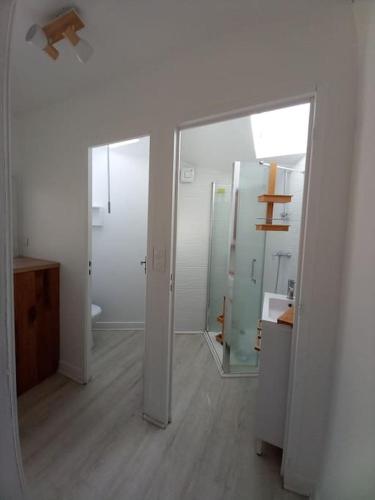 La salle de bains est pourvue d'un miroir, d'un lavabo et de toilettes. dans l'établissement Gîte entre Mer et Abers, à Landéda