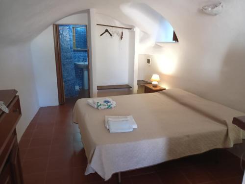 a bedroom with a large bed in a room at A casa Di Fabrizio Appartamento Il Forno in Filicudi