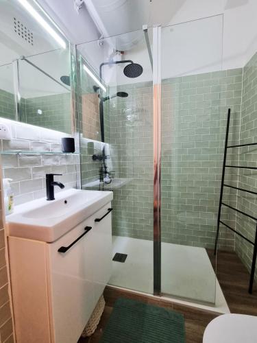 une salle de bain avec un lavabo et une douche dans l'établissement 