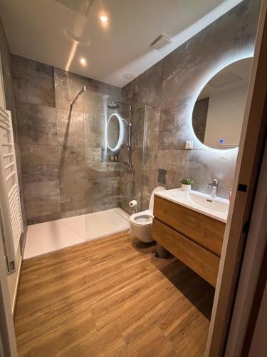 une salle de bain avec une douche, un lavabo et des toilettes dans l'établissement Bel appartement centre-ville, à Saint-Étienne