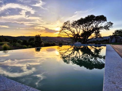 a reflection of a tree in a swimming pool at North Sardinia Retreats Stazzo Liccia Barria - villa con piscina in Arzachena