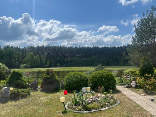 a garden with bushes and trees in a yard at Domek Staś in Wiele