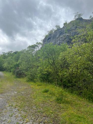 a dirt road next to trees and a mountain at Kabin in the woods with Hot Tub in Llandybie