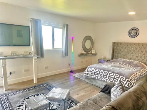 a living room with a bed and a television at Kildare Luxury Suites in Kildare