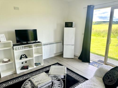 TV a/nebo společenská místnost v ubytování Kildare Luxury Suites