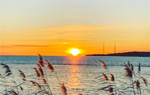 a sunset over a body of water with tall grass at 3 Bedroom Cozy Home In Sölvesborg in Sölvesborg