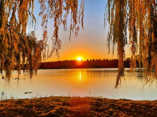 a sunset over a lake with a tree at Tzamenkomst River Lodge in Colesberg