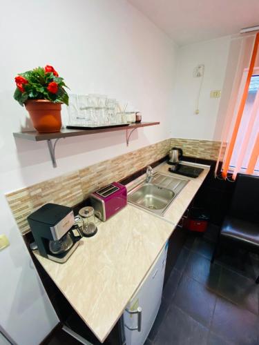 a kitchen with a sink and a counter top at River Apartment in Sinaia