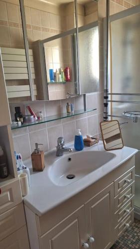 une salle de bain avec un lavabo et un miroir dans l'établissement Maison avec jardin la libellule ou dragonfly, à Besançon