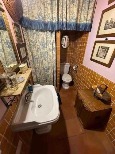 une salle de bain avec un lavabo et des toilettes dans l'établissement Apartment in Cannes, à Cannes