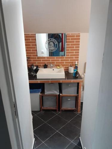 une salle de bain avec un lavabo et un miroir dans l'établissement Maison a côté du pal, à Saligny-sur-Roudon