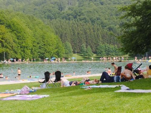 a group of people laying on the grass near a lake at Vikendica Mia Balkana in Mrkonjić Grad