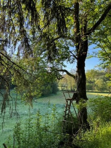 Φυσικό τοπίο κοντά σε αυτή η παραθεριστική κατοικία