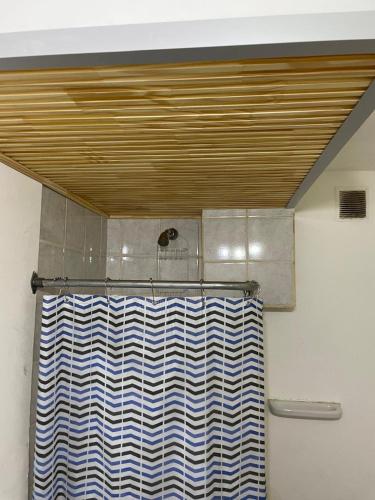 a bathroom with a shower curtain and a wooden ceiling at UshuaiaTdF in Ushuaia