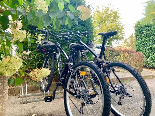 Art Bay 2 velos parking
