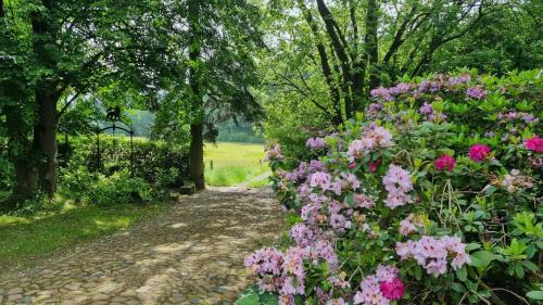 a garden with pink flowers on a path at Wolfsmühle in Speckswinkel