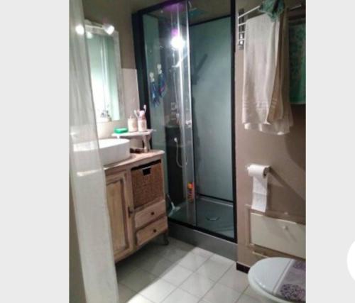 une salle de bain avec une douche, un lavabo et des toilettes dans l'établissement Un nid douillet en ville, à Épinal