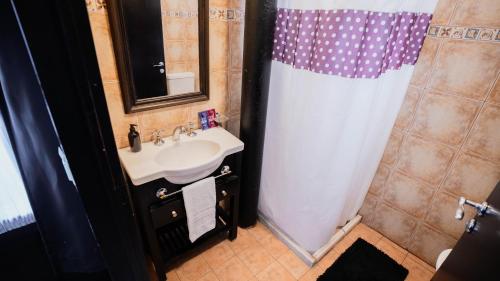 a bathroom with a sink and a shower at Pasaje Solar in Buenos Aires