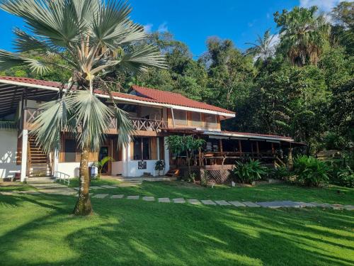 a house with a palm tree in front of it at The Jaguars Jungle Rainforest Lodge - All meals included in San Pedrillo
