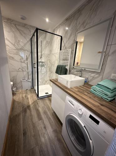 une salle de bain avec une machine à laver et un lavabo dans l'établissement La Tanière, à Samoëns