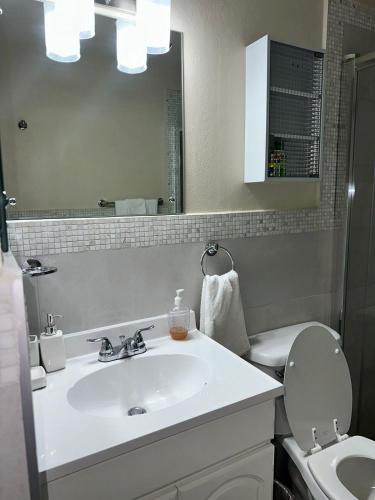 a bathroom with a sink and a toilet and a mirror at royal at courtleigh towers in Kingston