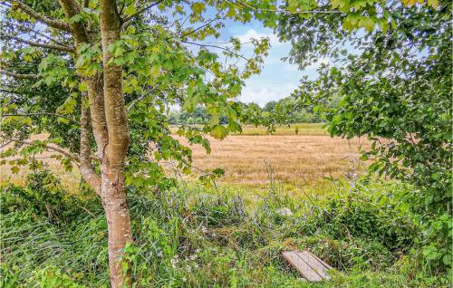 a bench in a field next to a tree at Amazing Home In Ustka With Kitchen in Ustka