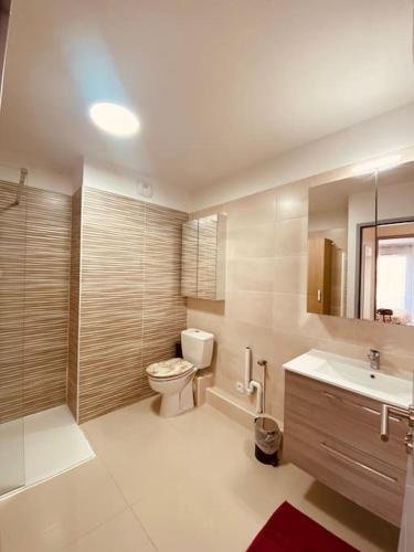 une salle de bain avec toilettes et lavabo dans l'établissement Apt climatise avec terrasse et stationnement 100 metres de la plage V0825, à Vias