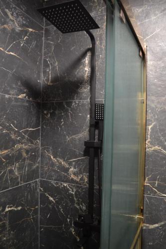 a shower with a glass door in a bathroom at Park Gate apartment in Chernivtsi