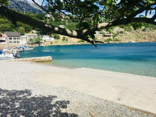 a view of a beach with a tree and the water at Ferienwohnung für 6 Personen nur 100 Meter vom Meer entfernt in Cesarica