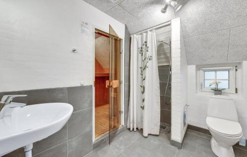 a bathroom with a sink and a toilet and a shower at Lovely Home In Ulfborg With Sauna in Ulfborg