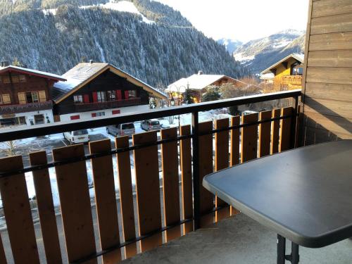 Studio confortable 4 personnes, balcon, Châtel, animaux admis