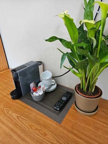 a plant sitting on a desk next to a coffee maker at Hotel Westendia and Free Parking Top Breakfast in Middelkerke