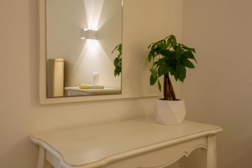 a bathroom with a mirror and a plant on a table at Dimore Relais - Suite Garden Breakfast in Porto Cesareo