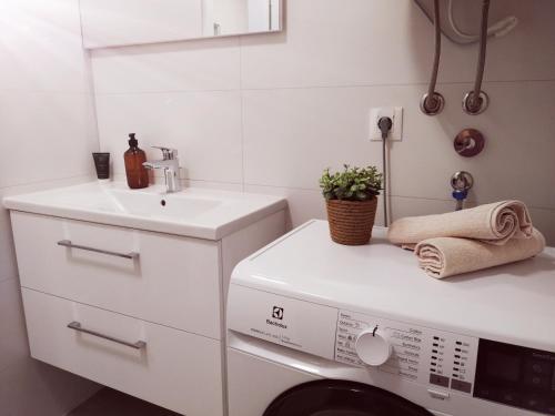 Apartment Rozalie Central