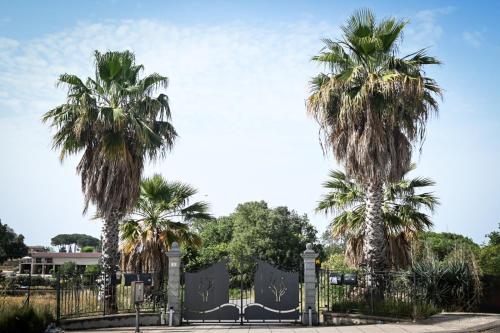 three palm trees behind a gate in a park at Folco Studio Apartment in Piazza Armerina