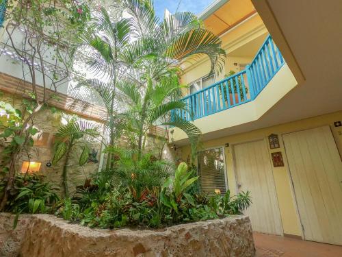 a building with a bunch of plants in a courtyard at Posada La Fe in Cartagena de Indias