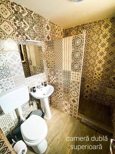 a bathroom with a toilet and a sink at CASA RYANA SINAIA in Sinaia