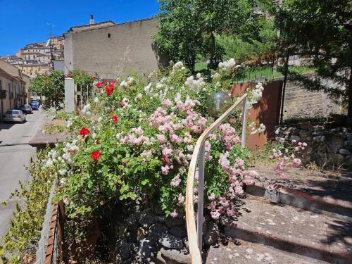 a bunch of flowers on the side of a building at Il Giardino in Calvello